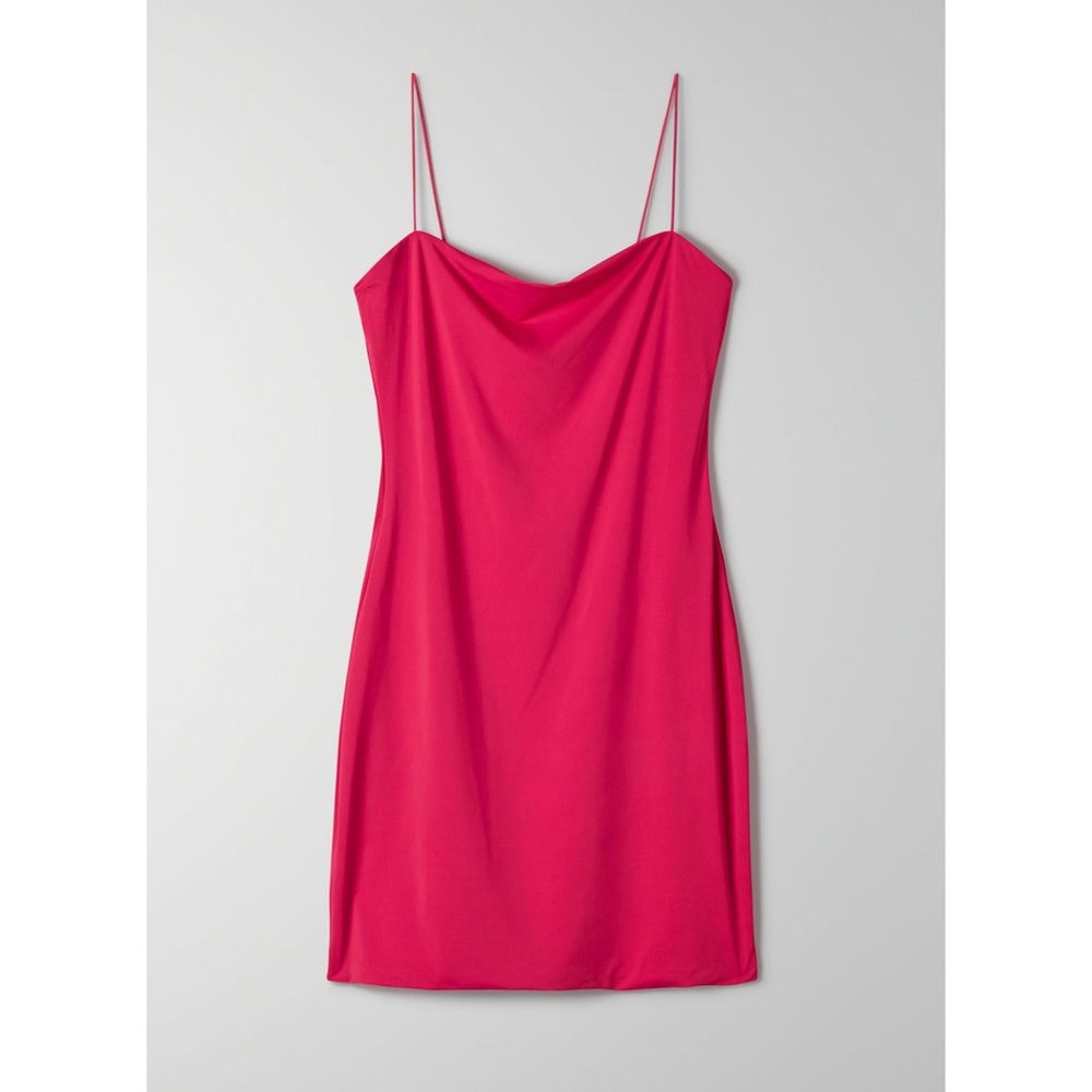 Aritzia TEN BY BABATON Illume Dress